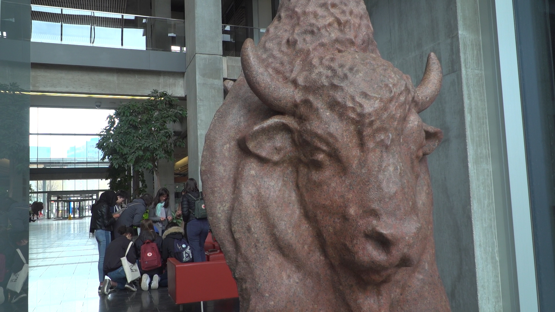 Les bisons, sculpture de Joe Fafard dans l'immeuble de Manitoba Hydro sur la rue Portage.